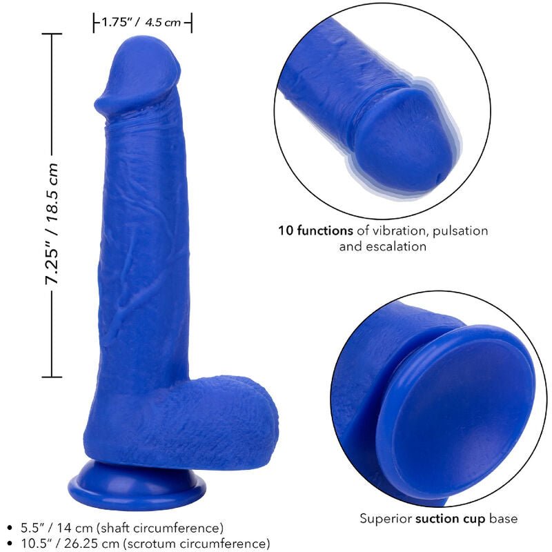 CALEXOTICS - ADMIRAL CAPTAIN REALISTIC DILDO VIBRADOR AZUL - Toys "n" Us