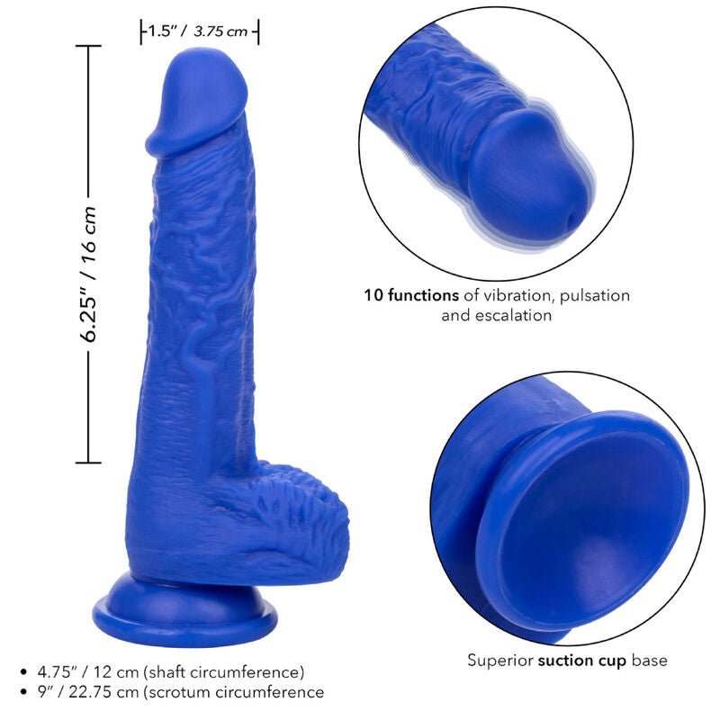 CALEXOTICS - ADMIRAL SAILOR REALISTIC DILDO VIBRADOR AZUL - Toys "n" Us