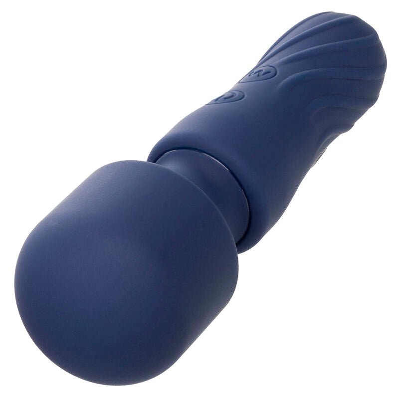 CALEXOTICS - CHARISMA CHARM MASSAGER 12 FUNCTIONS PURPLE - Toys "n" Us
