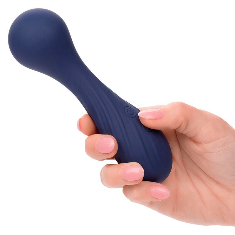 CALEXOTICS - CHARISMA TEMPTATION MASSAGER 12 FUNCTIONS PURPLE - Toys "n" Us