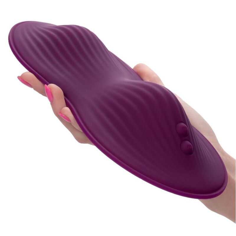 CALEXOTICS - CONTROLE REMOTO DUAL RIDER - Toys "n" Us