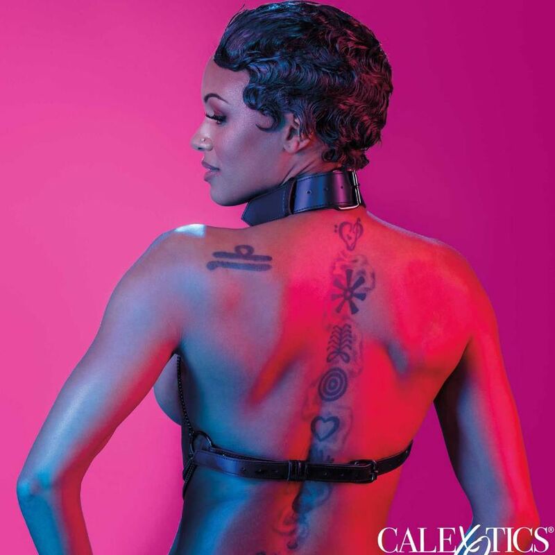 CALEXOTICS - EUPHORIA ARNÊS DE COLAR MULTI CADEIA - Toys "n" Us