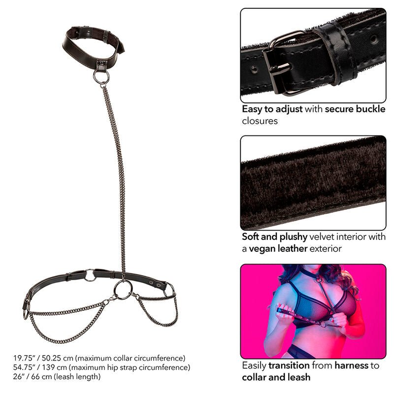 CALEXOTICS - EUPHORIA CHAIN HALTER COLLAR & LEASH PLUS SIZE - Toys "n" Us