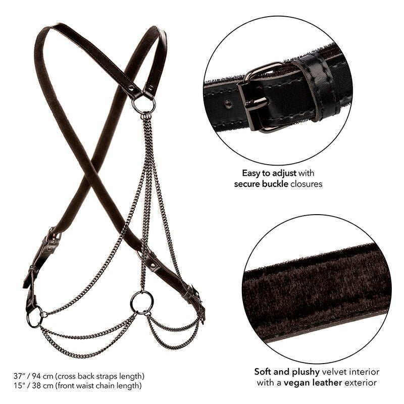 CALEXOTICS - EUPHORIA MULTICHAIN HARNESS PREMIUM - Toys "n" Us