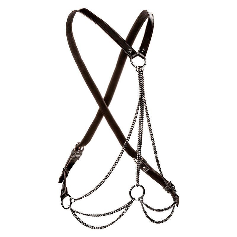 CALEXOTICS - EUPHORIA MULTICHAIN HARNESS PREMIUM PLUS SIZE - Toys "n" Us
