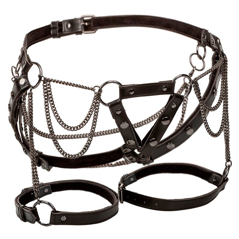 CALEXOTICS - EUPHORIA MULTICHAIN THIGH HARNESS PREMIUM PLUS SIZE - Toys "n" Us