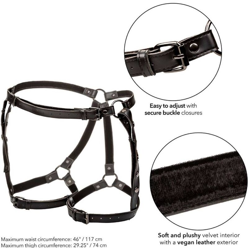 CALEXOTICS - EUPHORIA PLUS SIZE RIDING THIGH HARNESS - Toys "n" Us
