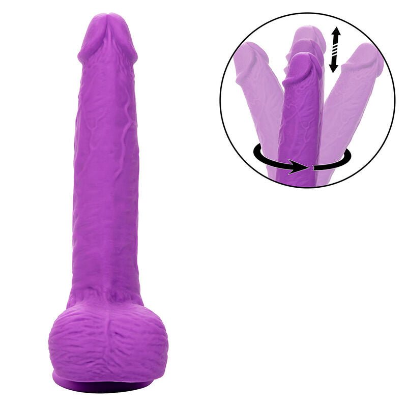CALEXOTICS - STUDS RECHARGEABLE AND ROTATING VIBRATOR 10 VIBRATIONS PURPLE - Toys "n" Us