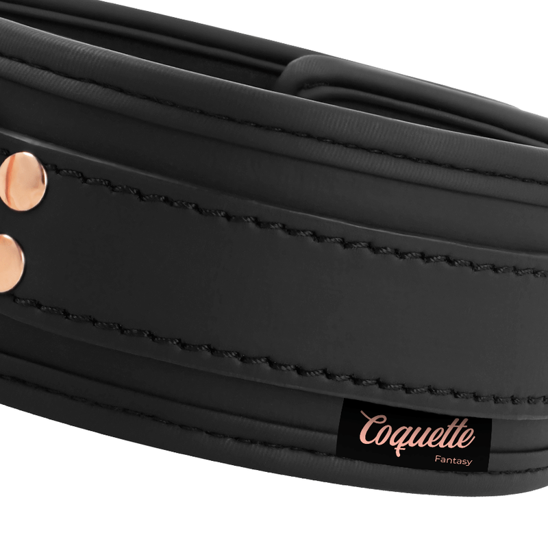 COQUETTE CHIC DESIRE - COLAR DE COURO FANTASY VEGAN COM ALA E FORRO DE NEOPRENE - Toys "n" Us