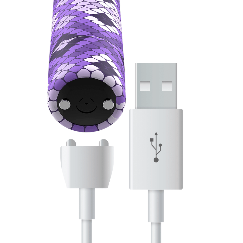 CUSTOM BULLETS - RECHARGEABLE SNAKE PURPLE MAGNETIC BULLET 10V - Toys "n" Us
