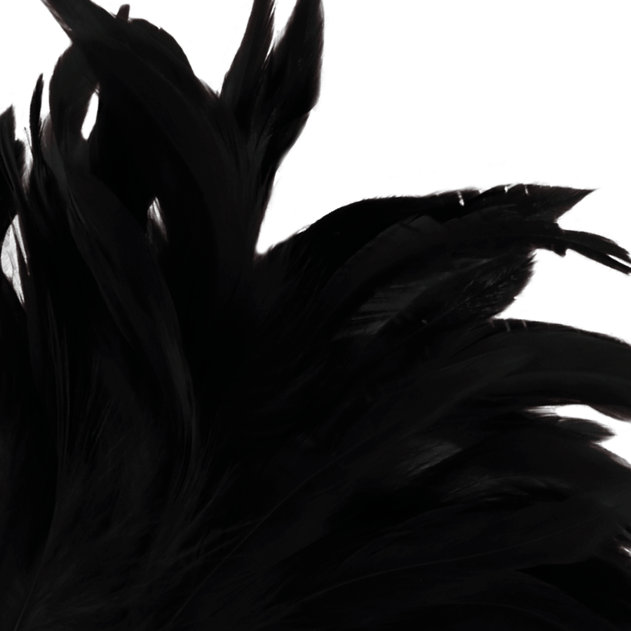 DARKNESS - CANETA ESTIMULANTE BLACK LUX - Toys "n" Us