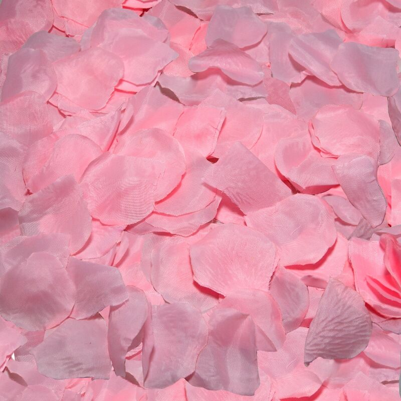 DIABLO PICANTE - 100 PÉTALAS ROSA - Toys "n" Us