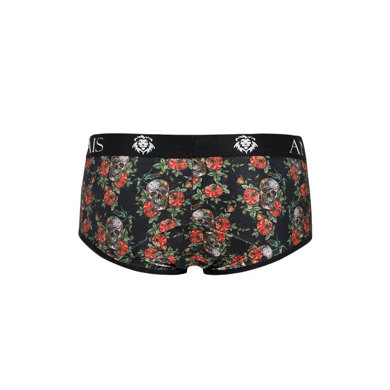 AAIS HOMBRE - POWER BRIEF S