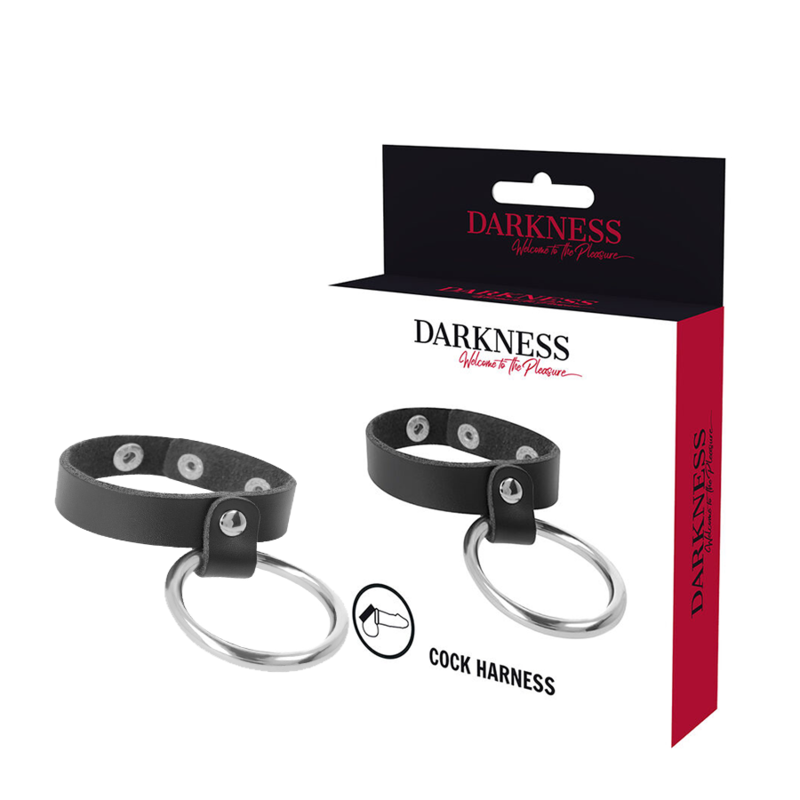 DARKNESS - ANEL DE METAL PARA O PÊNIS E TESTÍCULOS