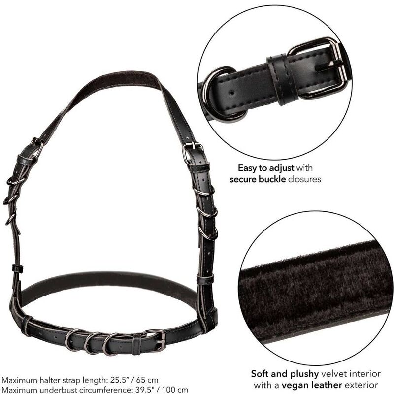 CALEXOTICS - ARREIO COM FIVELA EUPHORIA HALTER PRETO