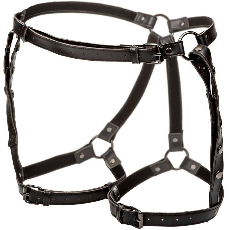 CALEXOTICS - ARREIO DE COXAS EUPHORIA PLUS SIZE