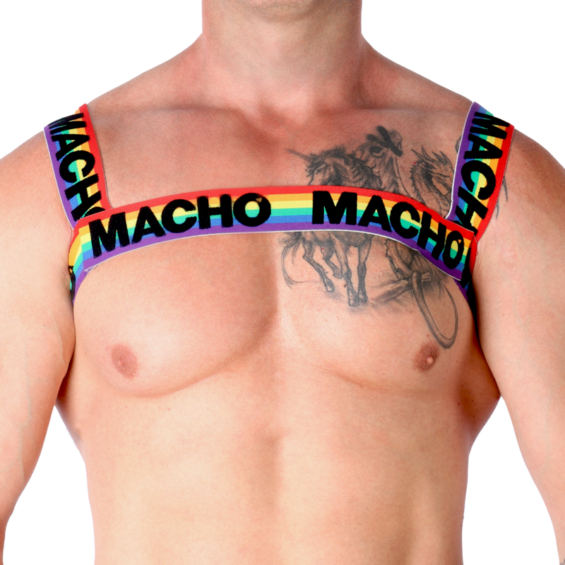 MACHO - DOUBLE HARNESS PRIDE LIMITADA