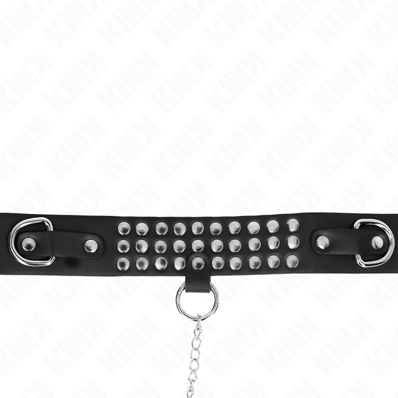 KINK - COLAR COM ALÇA 65 CM COM BRILHO AJUSTÁVEL 37-42 CM X 5,3 CM