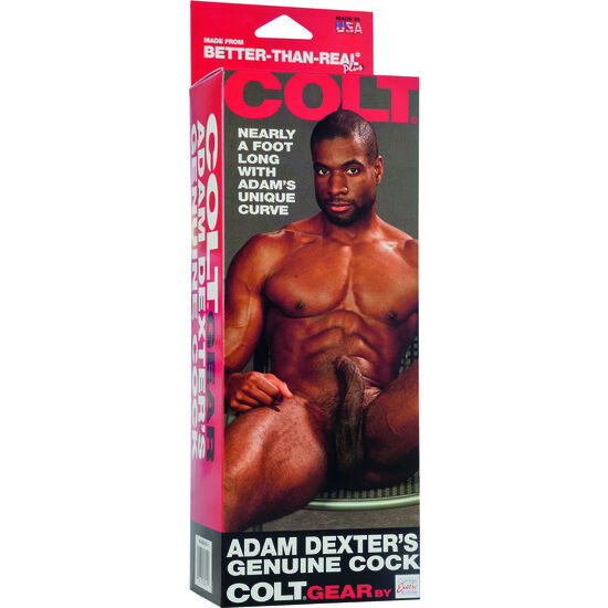 CALEXOTICS - GALO COLT ADAM DEXTER