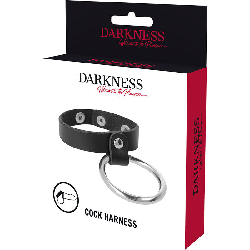 DARKNESS - ANEL DE METAL PARA O PÊNIS E TESTÍCULOS