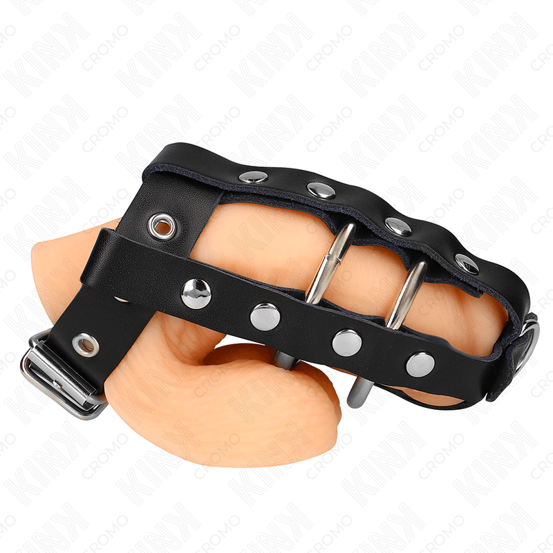 KINK - ADJUSTABLE PENIS CAGE WITH LOCK - Toys "n" Us