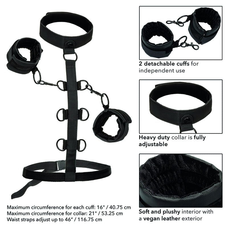 CALEXOTICS - BOUNDLESS RETENO CORPORAL DE COLAR - Toys "n" Us