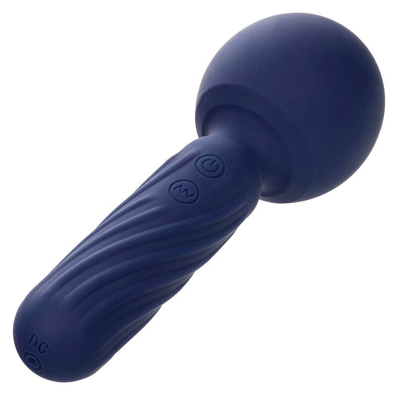 CALEXOTICS - CHARISMA SEDUCTION MASSAGER 12 FUNCTIONS 17.75 CM X 6.25 CM PURPLE - Toys "n" Us