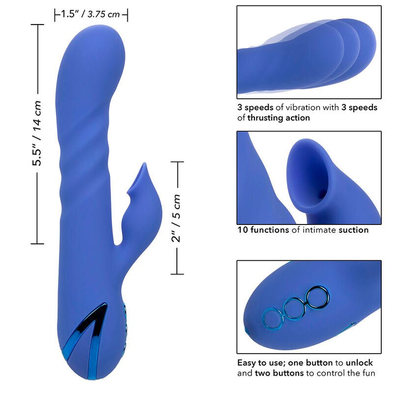 CALEXOTICS - LA LOVE VIBRADOR & SUCKER BLUE POR CALIFORNIA DREAMING - Toys "n" Us