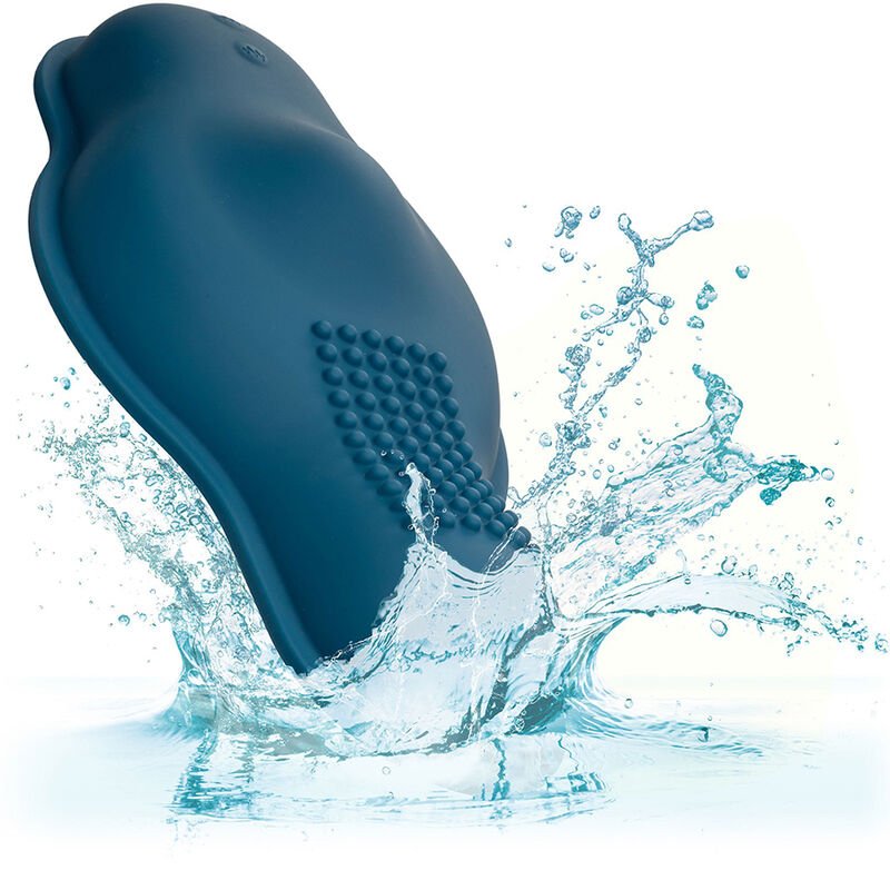 CALEXOTICS - RIDER MASSAGER DUPLO MOTOR CONTROLE REMOTO AZUL - Toys "n" Us