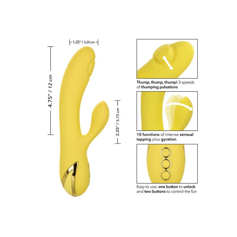 CALEXOTICS - SAN DIEGO SEDUCTION - Toys "n" Us