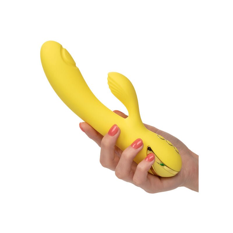 CALEXOTICS - SAN DIEGO SEDUCTION - Toys "n" Us