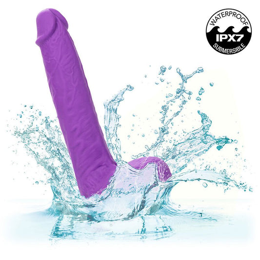 CALEXOTICS - STUDS RECHARGEABLE AND ROTATING VIBRATOR 10 VIBRATIONS PURPLE - Toys "n" Us