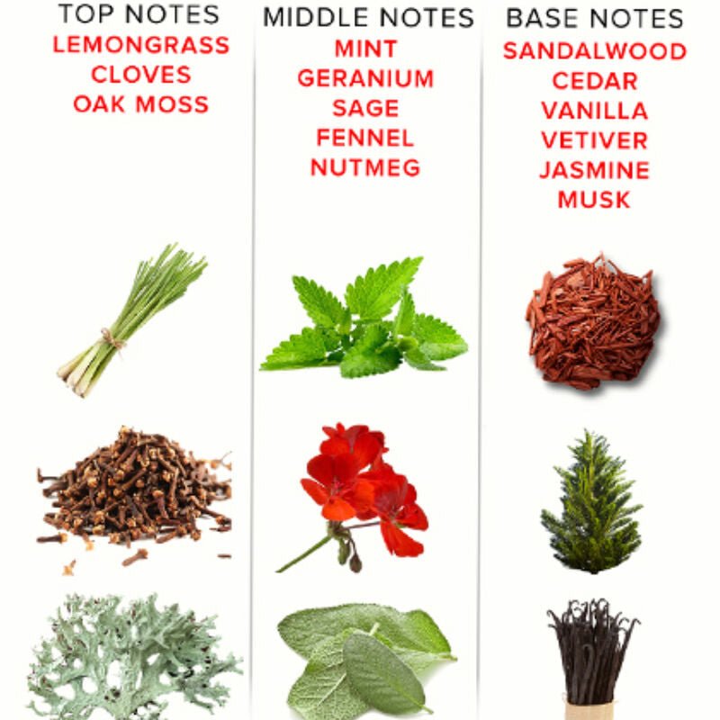 EYE OF LOVE - EOL PHR PARFUM DELUXE 50 ML - ROMANTIC - Toys "n" Us