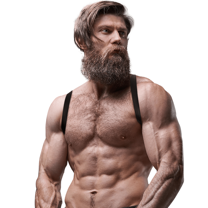 FETISH SUBMISSIVE ATTITUDE - MENS ECO - LEATHER BACK HARNESS - Toys "n" Us