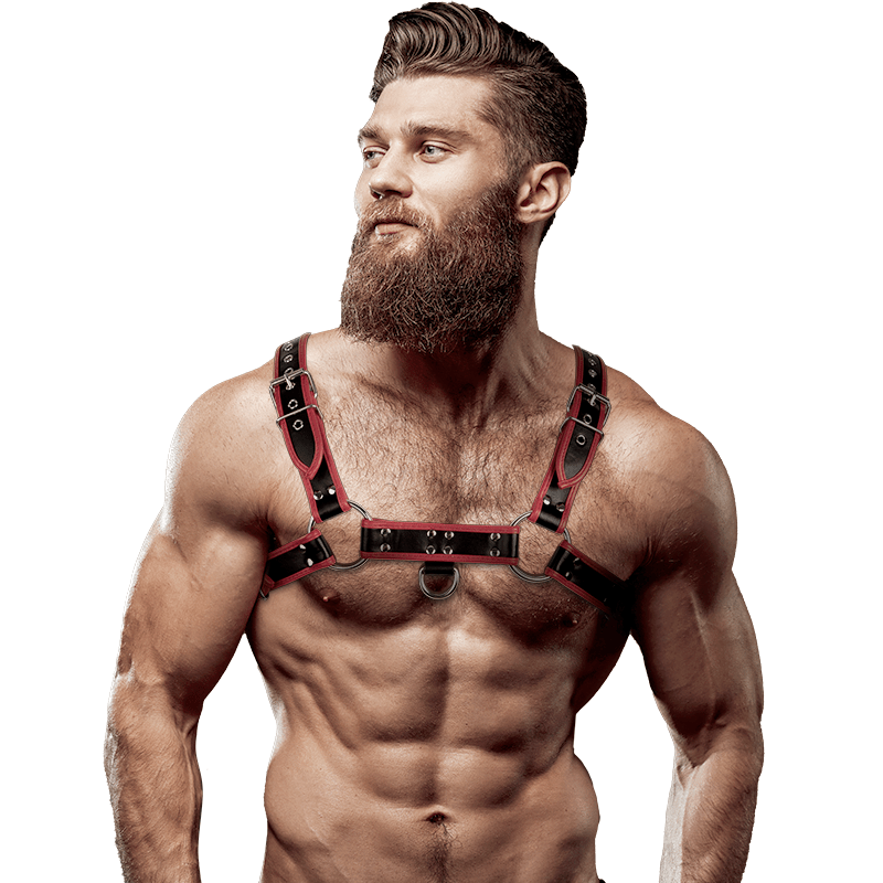 FETISH SUBMISSIVE ATTITUDE - MENS ECO - LEATHER CHEST HARNESS BLACK/RED - Toys "n" Us