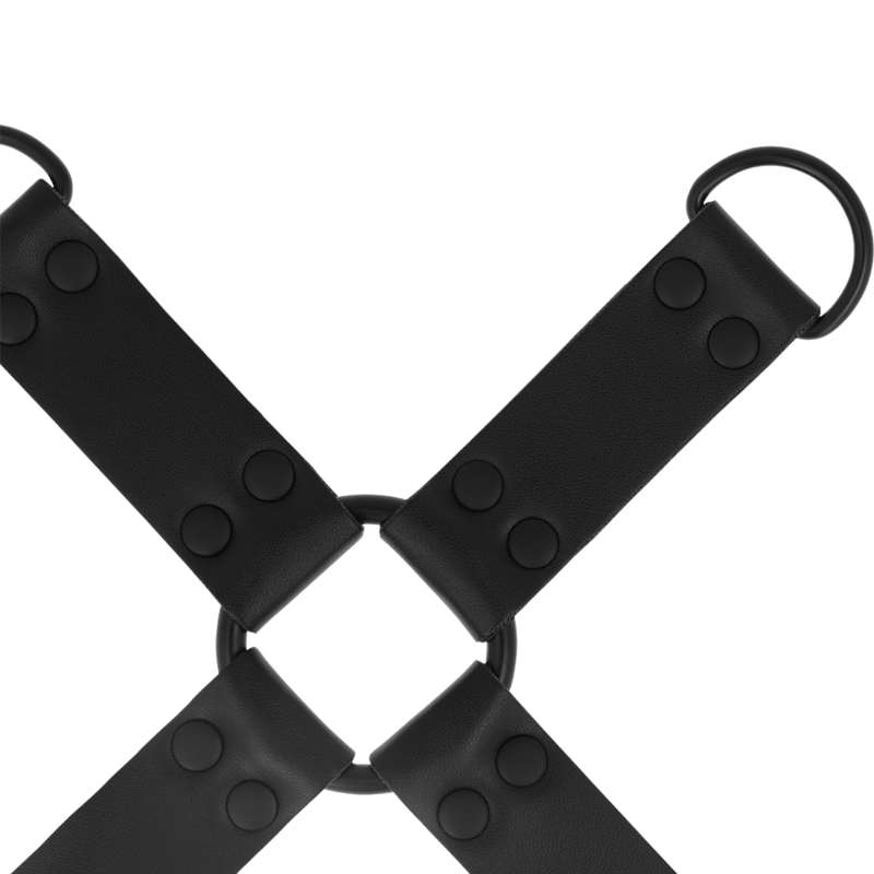 INTENSO - FETICHE HOG TIE