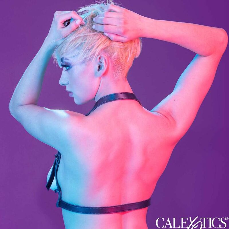CALEXOTICS - ARREIO COM FIVELA EUPHORIA HALTER PRETO