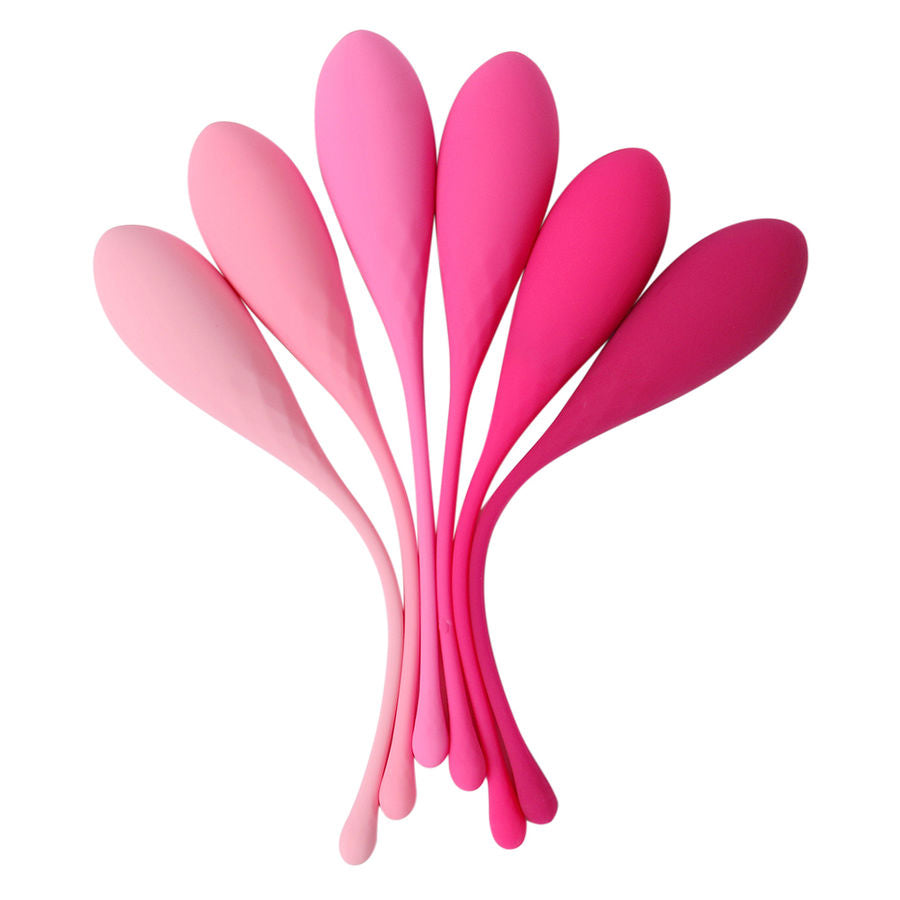 LESLIE - SET DE ENTRENAMIENTO DE MÚSCULOS PÉLVICOS KEGEL FIT 6 PESAS