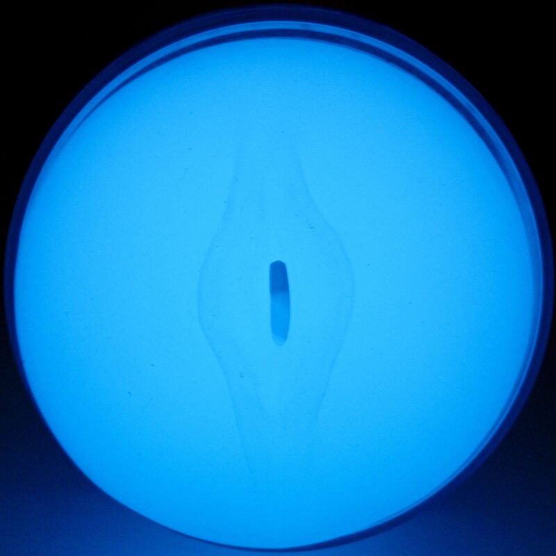KIIROO - FEEL GLOW IN THE DARK STROKER - Toys "n" Us